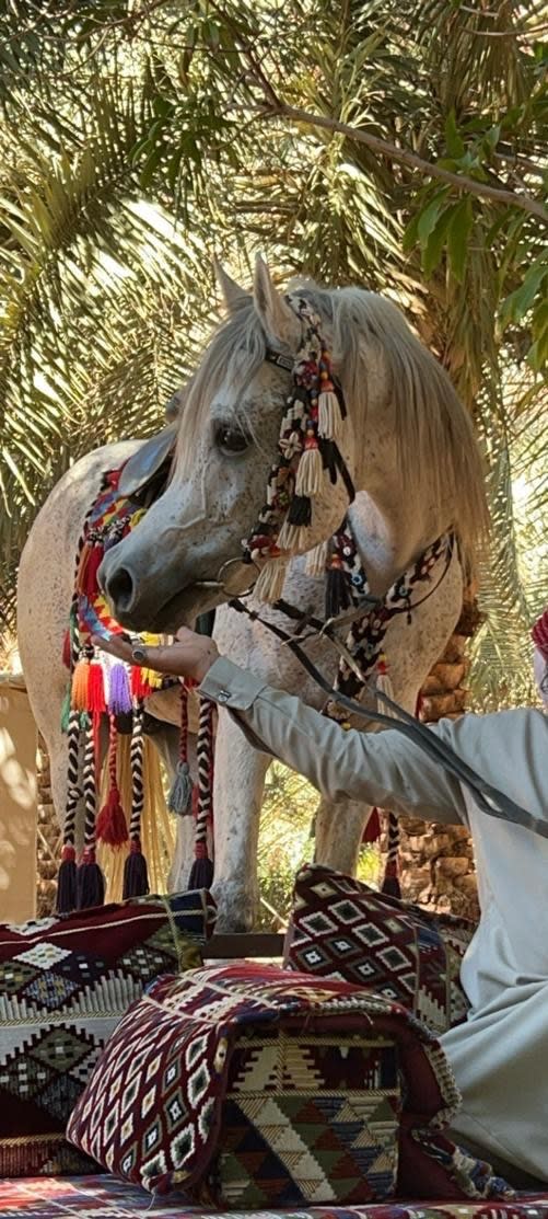 Tabuk: From the adventure of Wadi Ghamra to starry nights amidst a rural farm