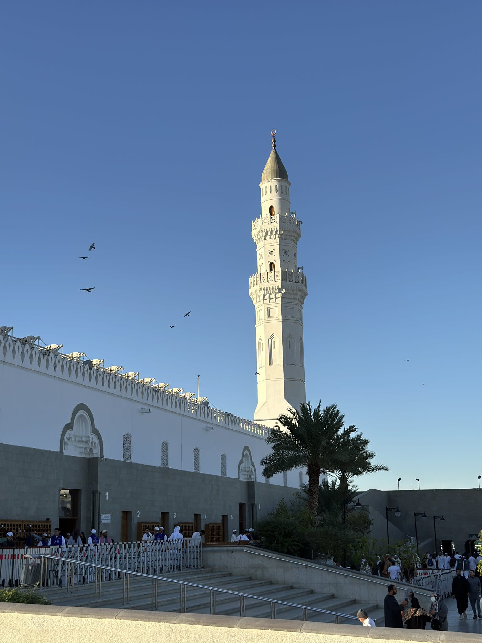 المدينة المنورة: تذكرة الرحلة إلى قباء وبستان المستظل