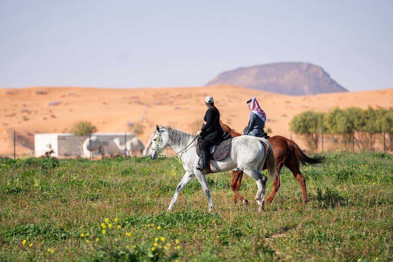 Horse riding experience amidst the nature of Hail