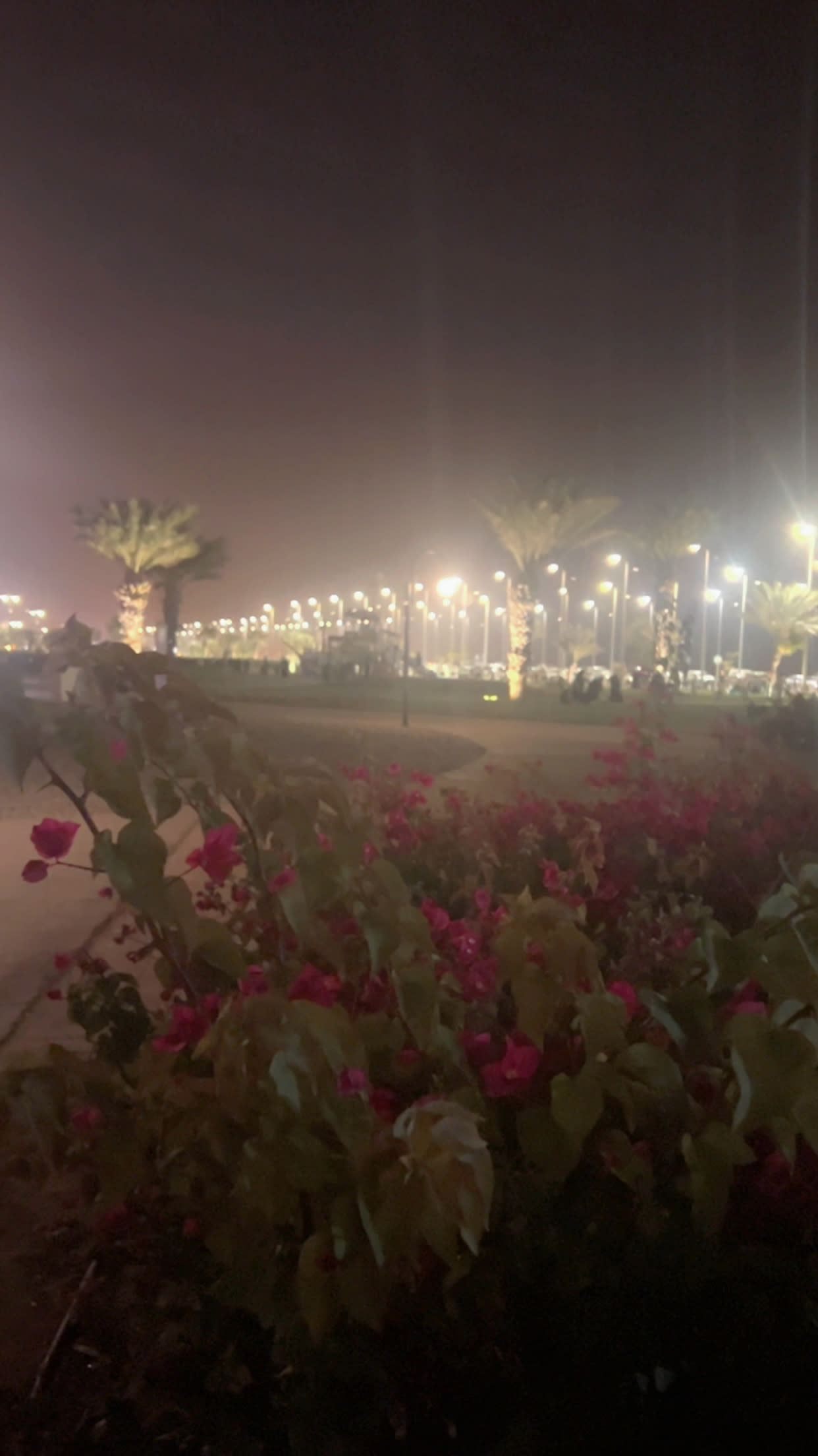 مرام  الحربي gallery image 2