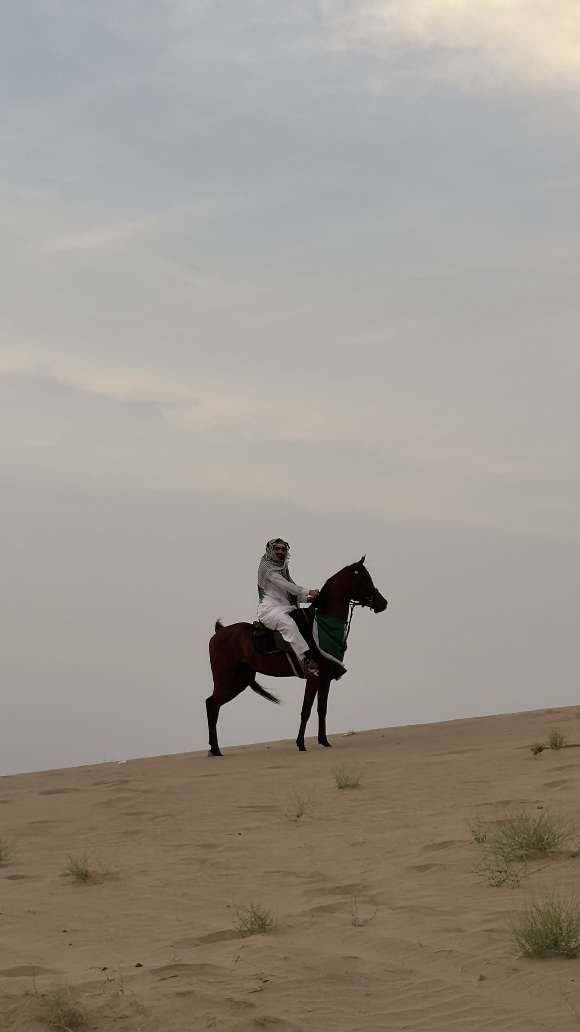 محمد  ال جمال gallery image 3