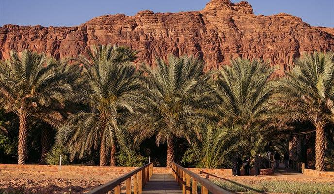Tur menyusuri jalur oasis warisan budaya di Al-Ula