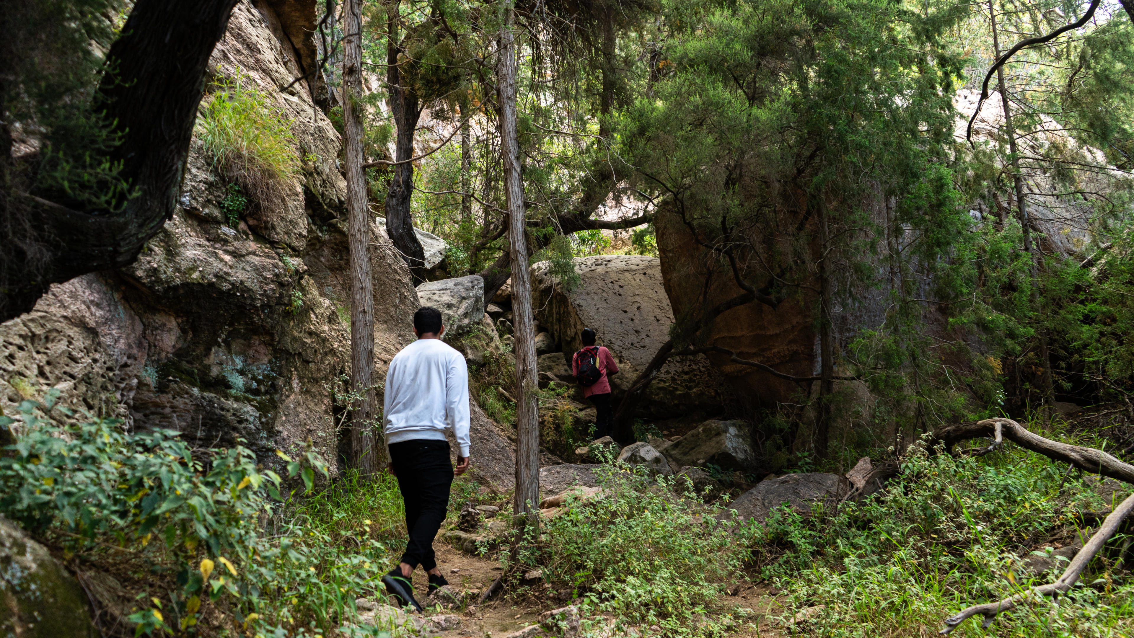 Tanomah: Mountain Peaks Hike