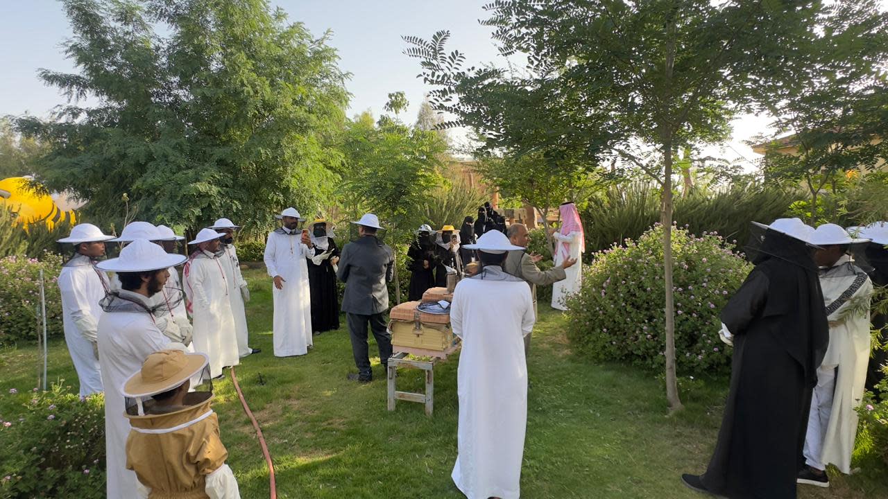 الباحة: أسرار النحل والعسل في السياحة النحلية 