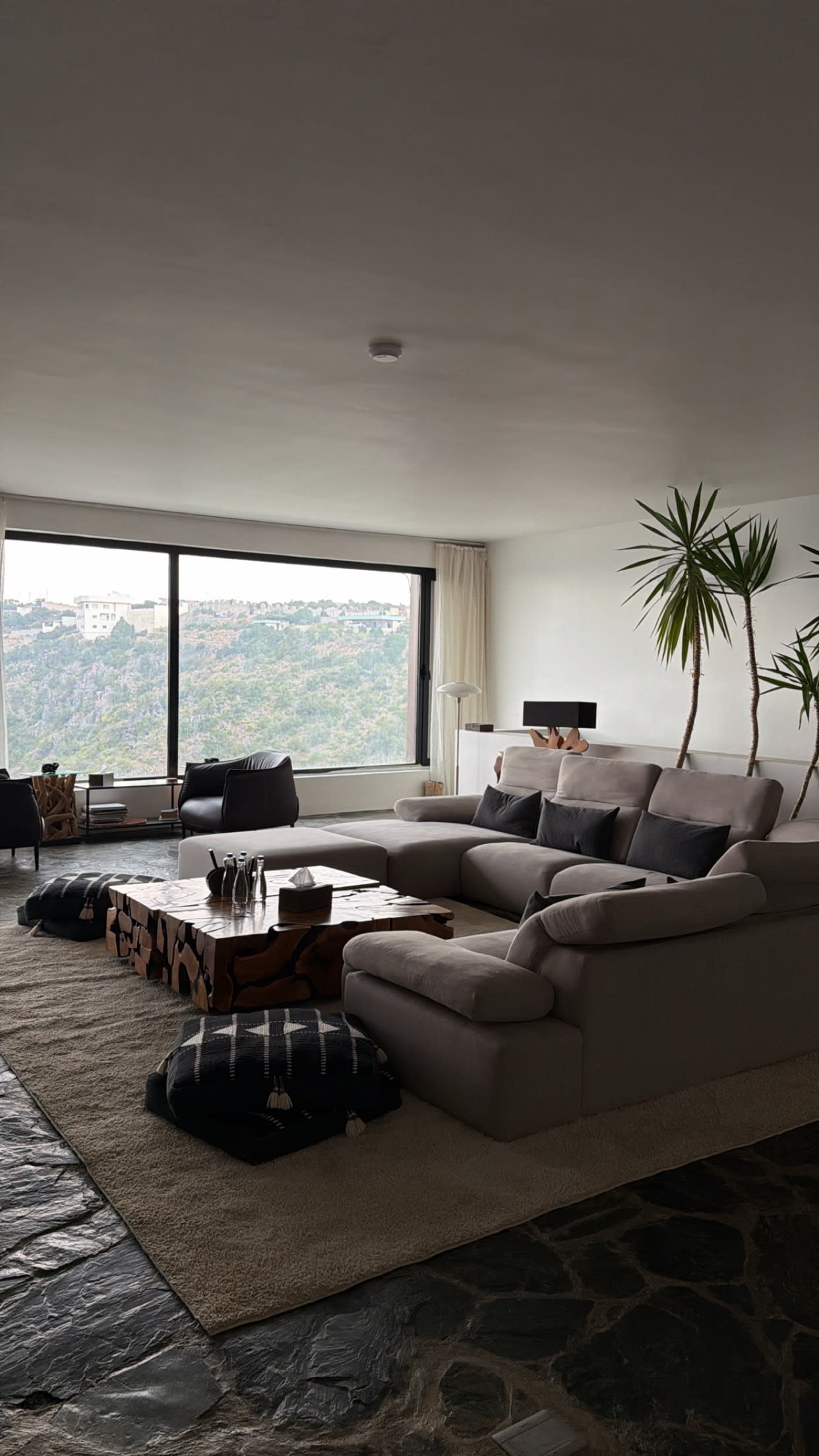 فراس ال مشري gallery image 3