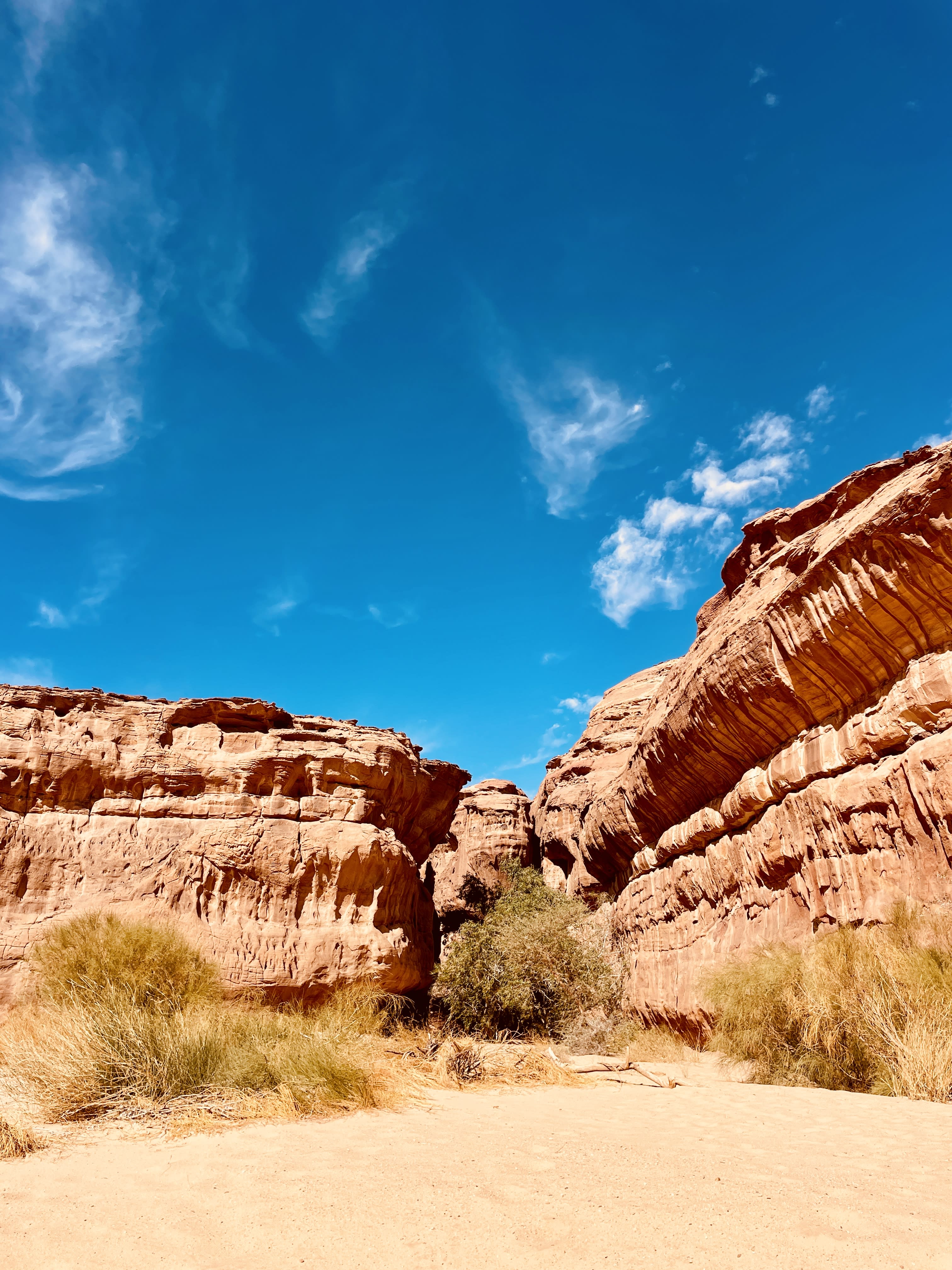 Al-Ula: A tour of the Sharaan Nature Reserve by four-wheel drive vehicle