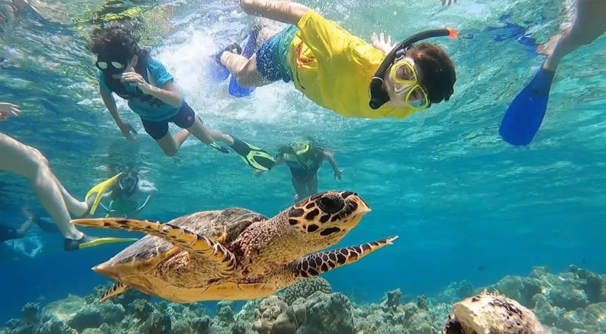 Jeddah: Perjalanan kelompok ke pulau Bayadah
