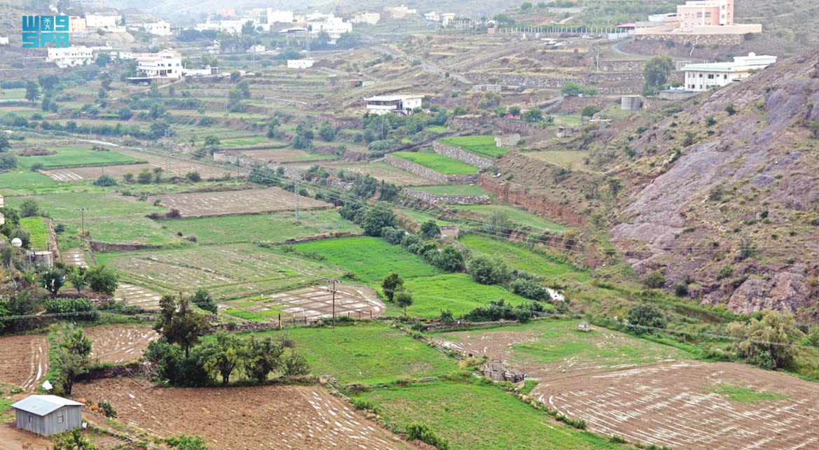 असीर: तब का एक ऐतिहासिक भ्रमण