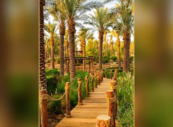 اكتشف سحر الدرعية التاريخية 🏛️🇸🇦