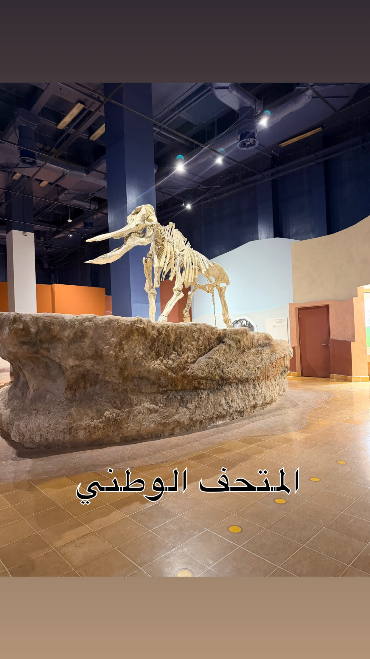 نايف  تركي gallery image 4