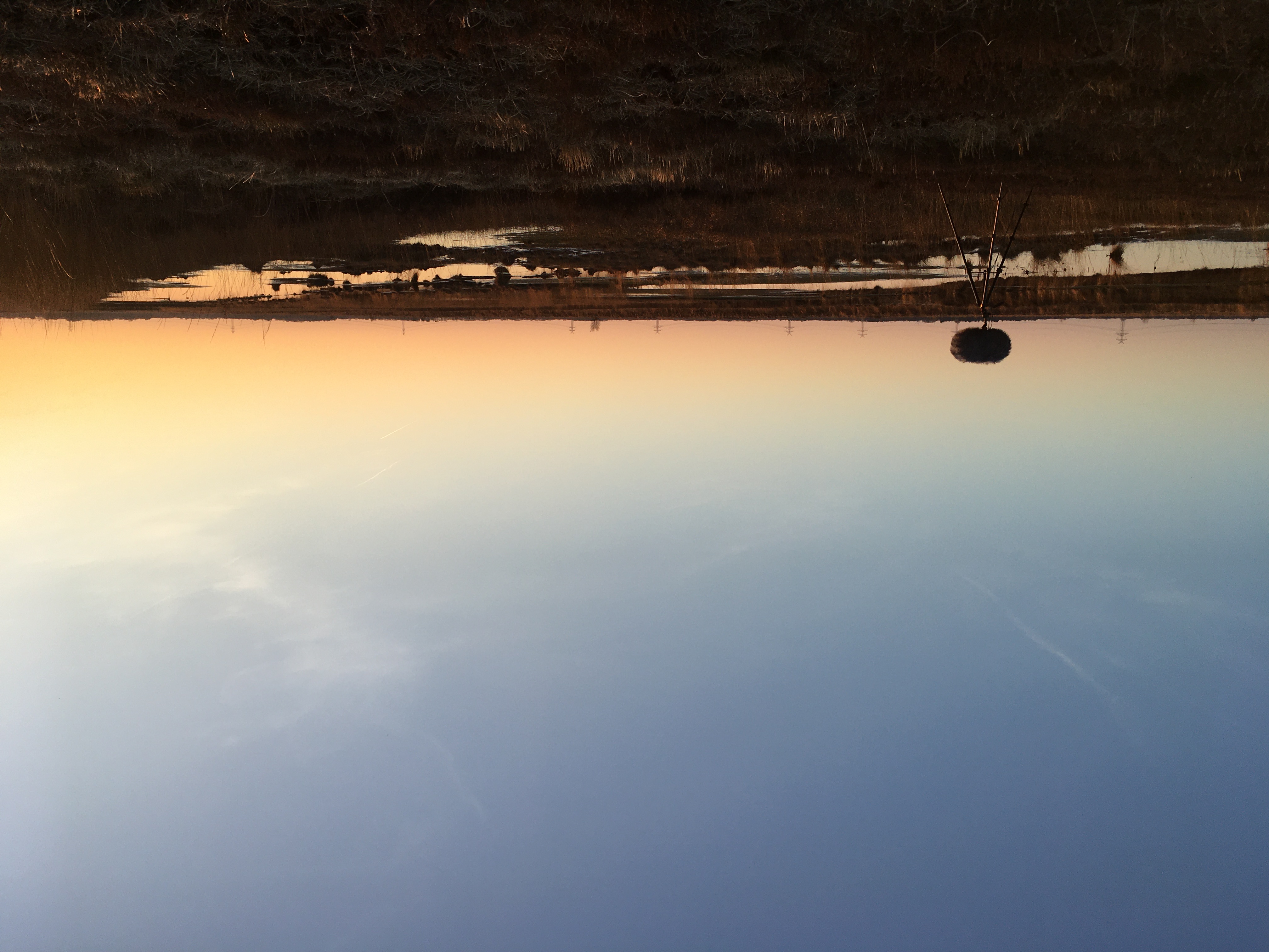Stapeler Moor