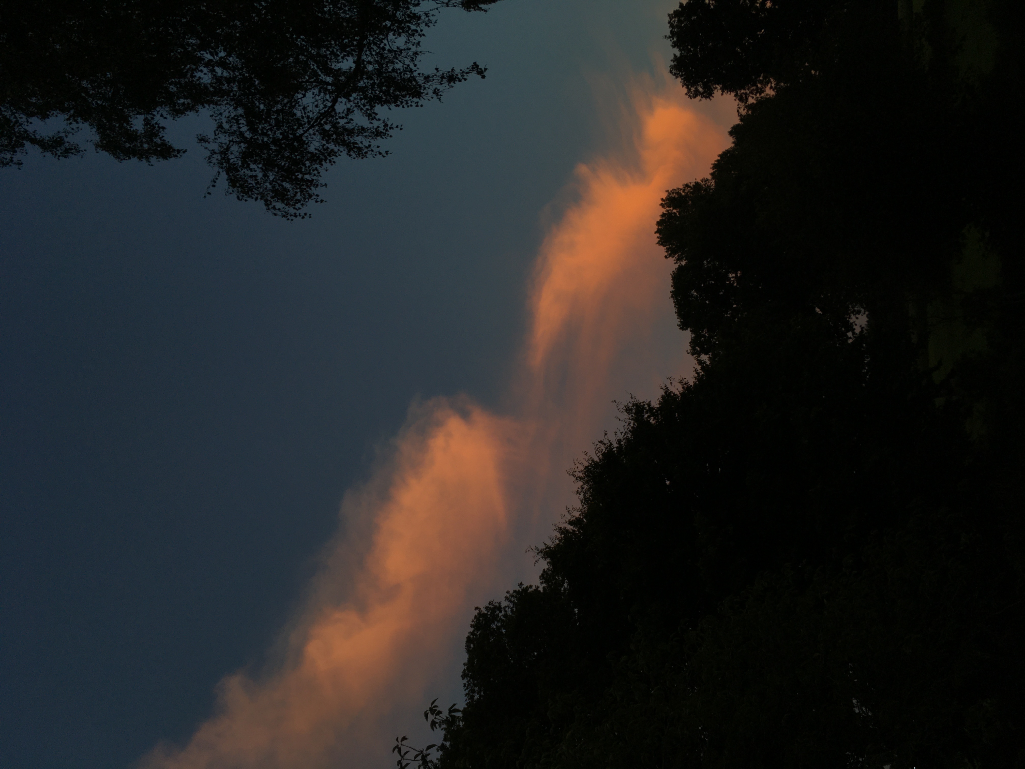 Late evening