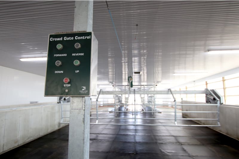 DLS Crowd Gates - Dairy Lane Systems - Dairy Equipment