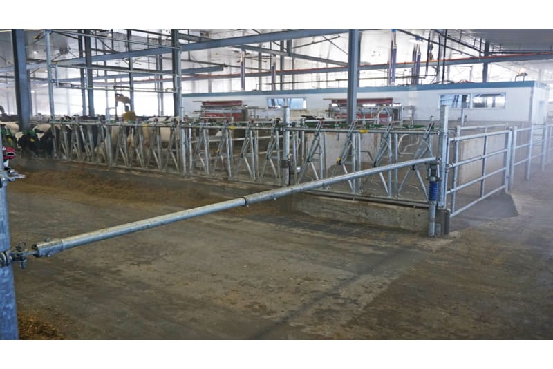 DLS Spring Bar Gates - Dairy Lane Systems - Dairy Barn Equip