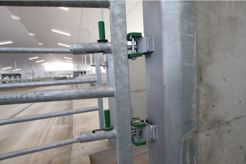 DLS Wall Protection Channels - Dairy Lane Systems - Barn