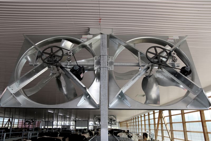 DLS Panel Fans - Dairy Lane Systems - Dairy Barn Ventilation
