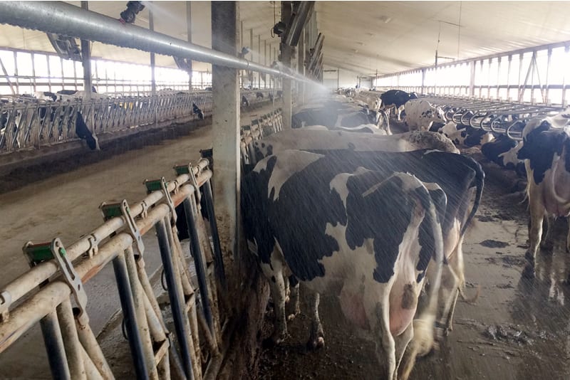fogging system