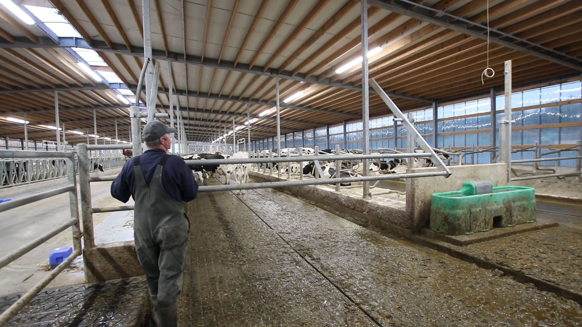 A.H.E. Dairy Dairy Lane Systems May 2021 ENewsletter