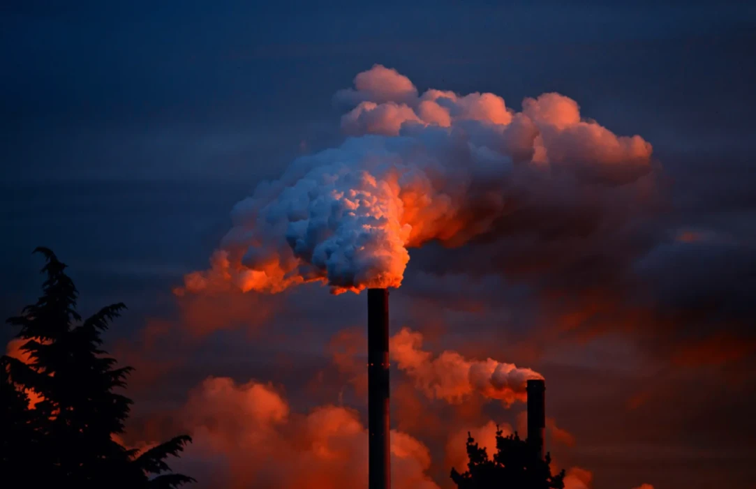 Actuá ahora: qué es y cómo reducir nuestra huella de carbono