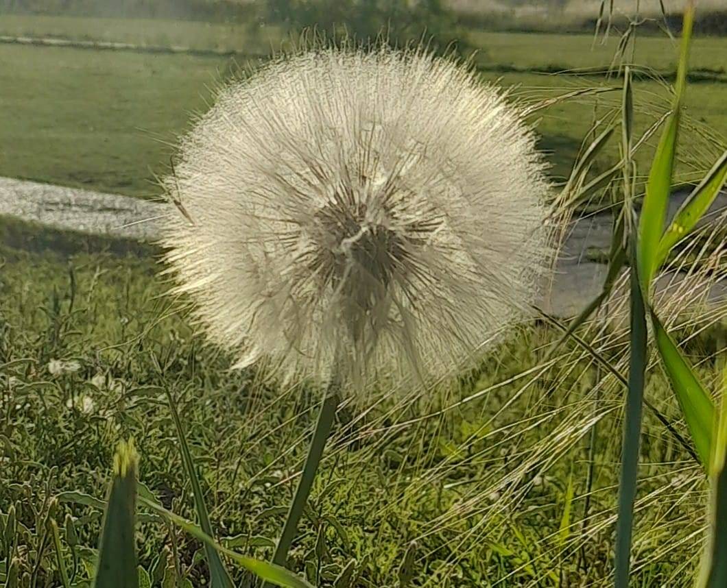 La esfera perfecta