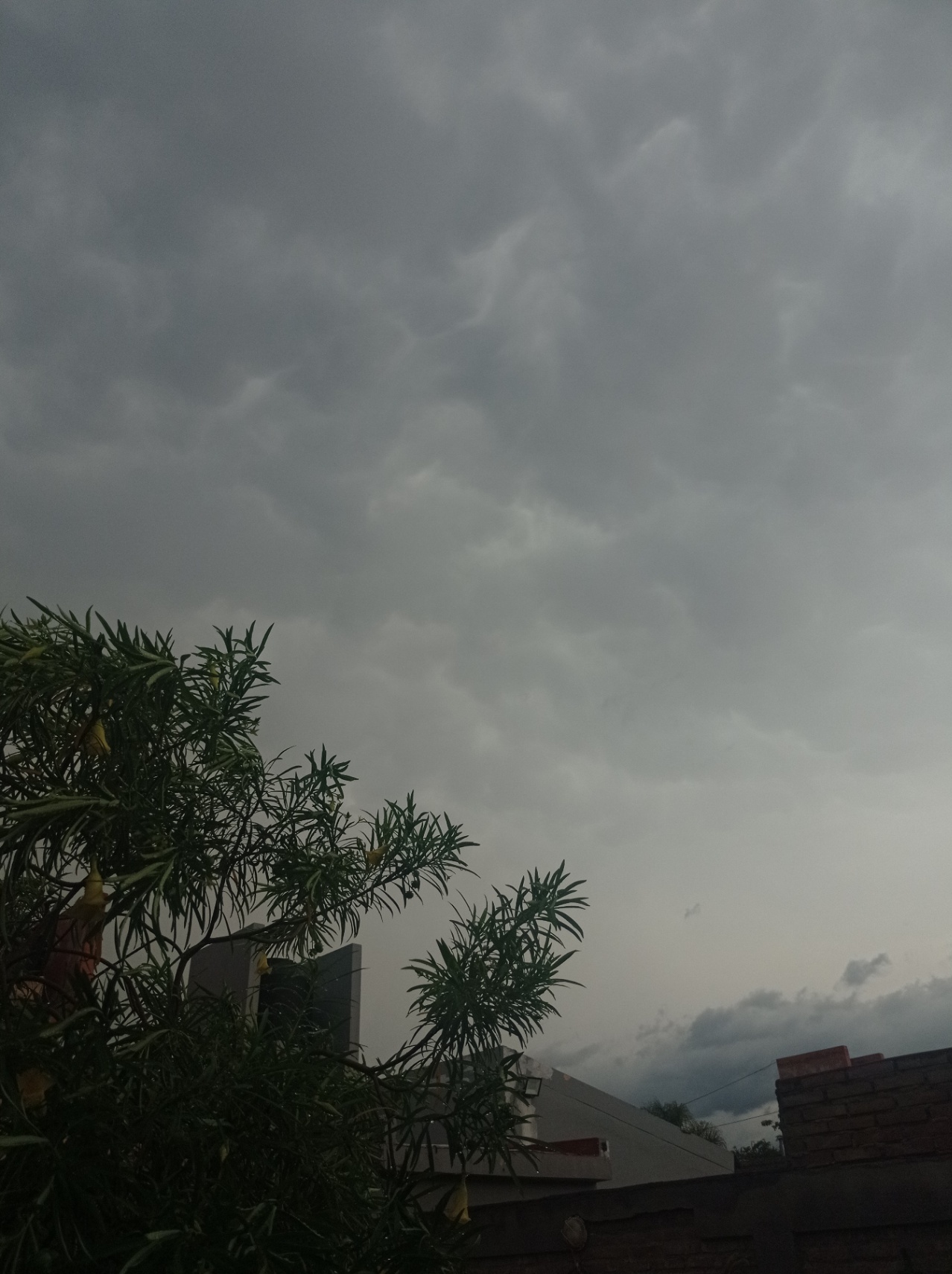 el patio chiquito de esa casa