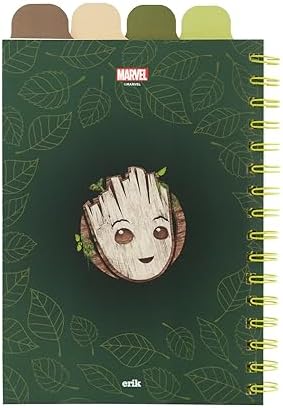 Vue 3 de Grupo Erik Carnet De