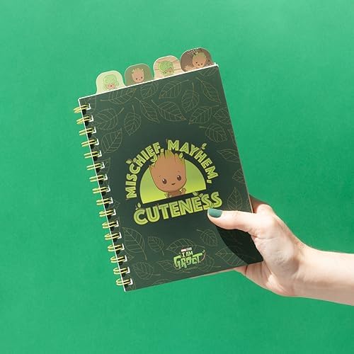 Vue 7 de Grupo Erik Carnet De