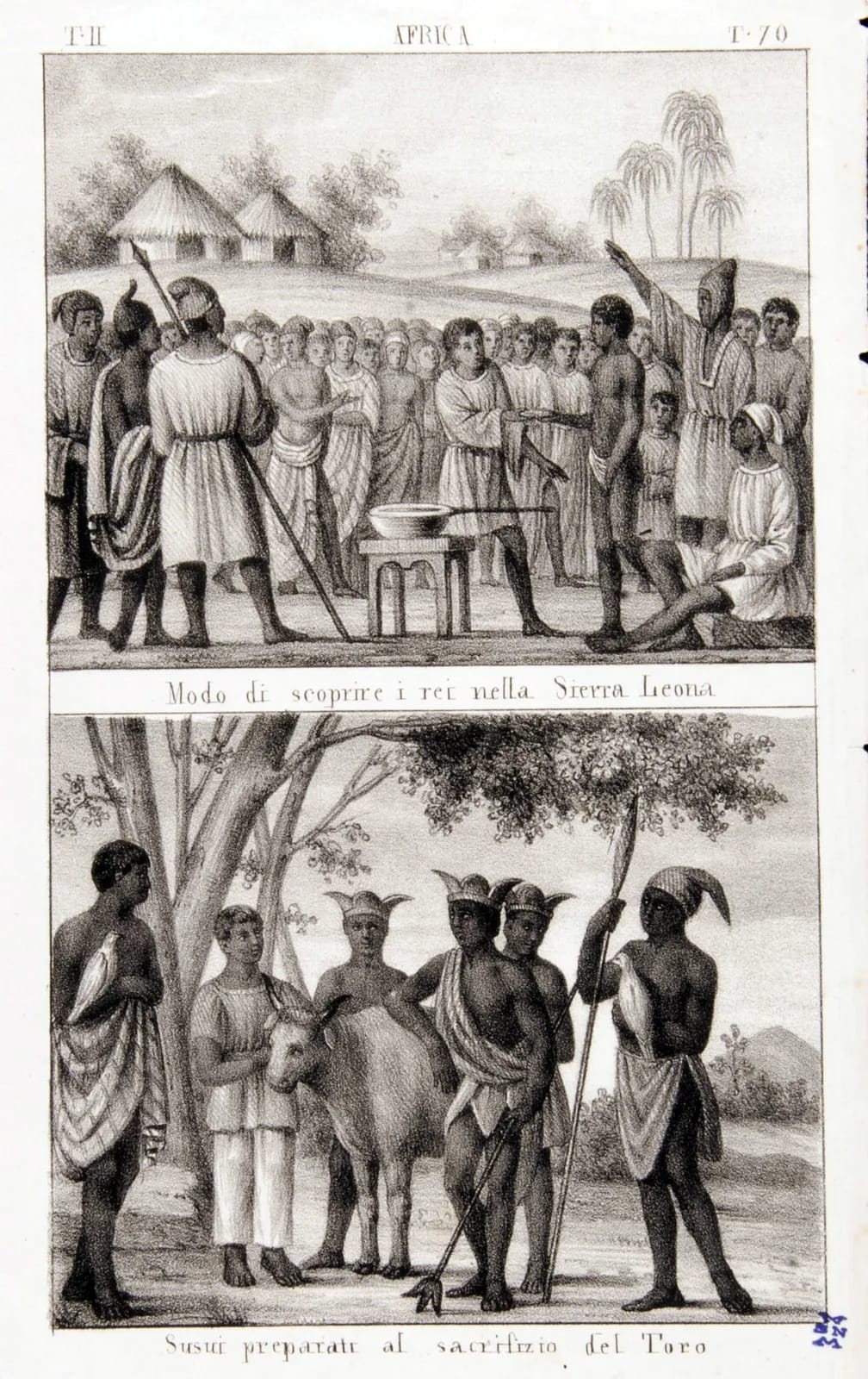 How the guilty are found out in Sierra Leone; Susu men prepared for the sacrifice of the bull