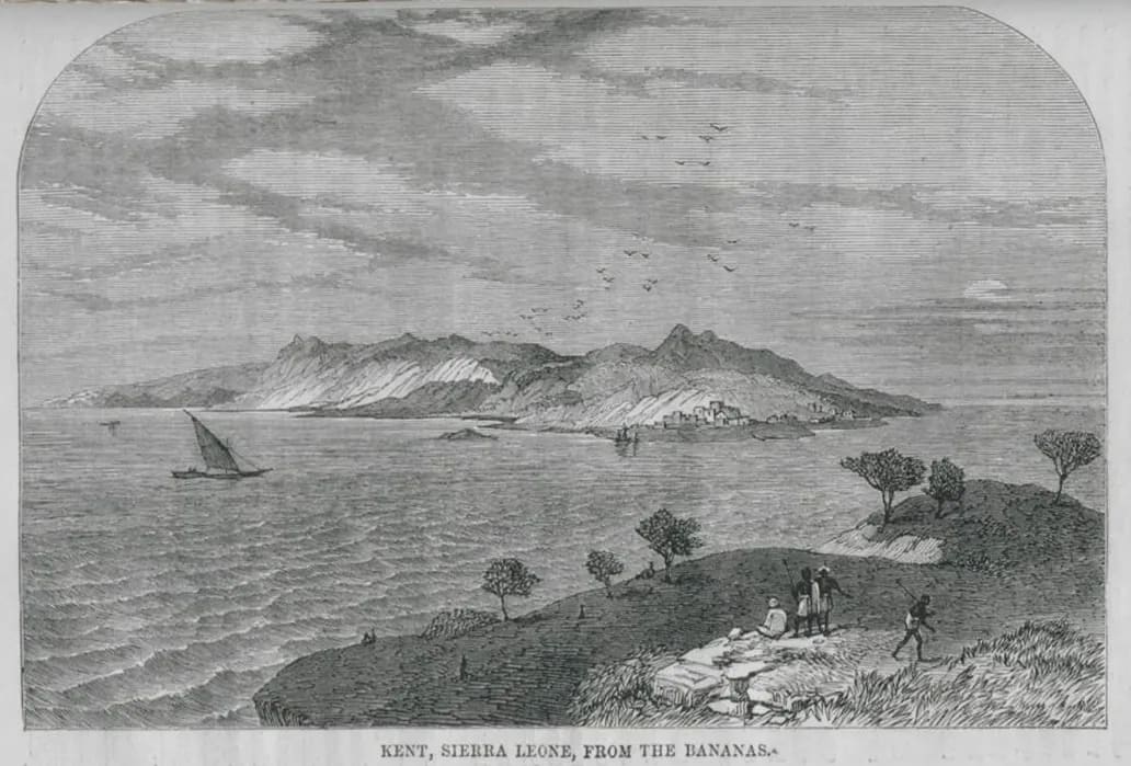 Kent, Sierra Leone, from the bananas