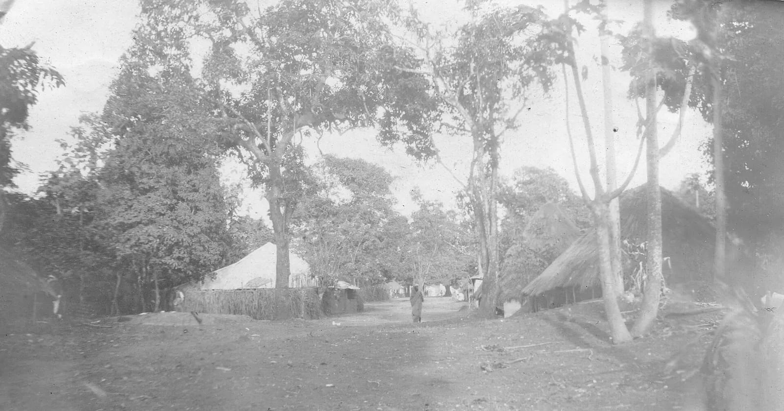 Banana Island, Sierra Leone (West Africa) 1905 (12312269234)
