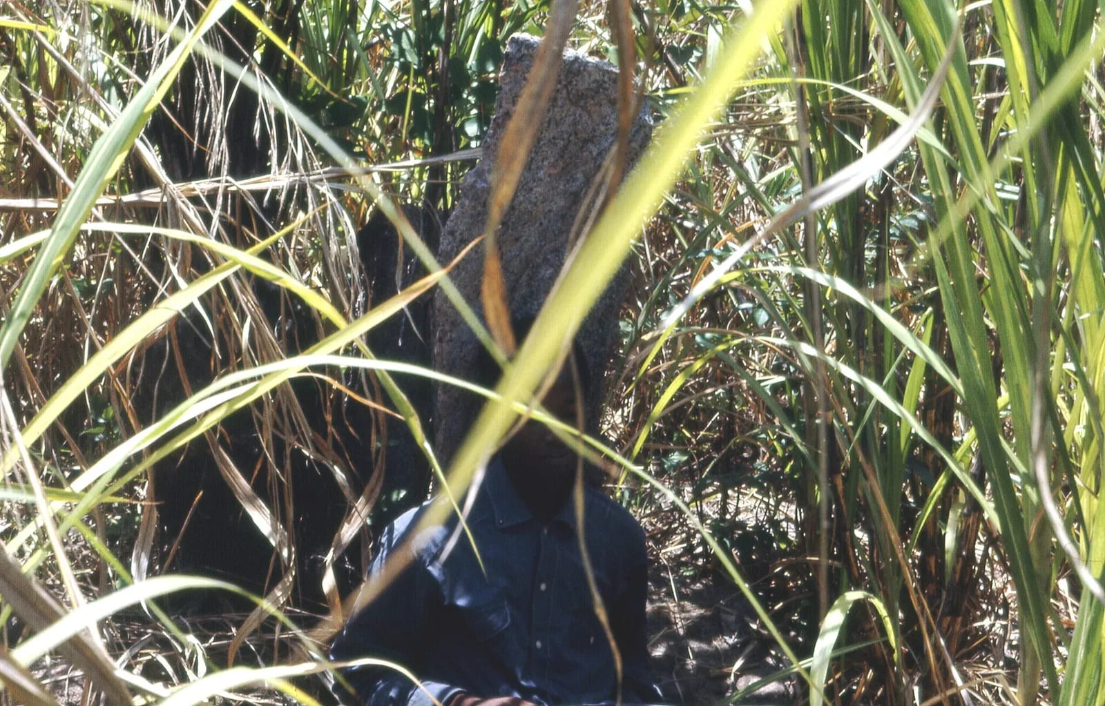 Chiefs chair at the now deserted and overgrown hilltop site of old Yagala, Sierra Leone (west Africa) (2321508092)