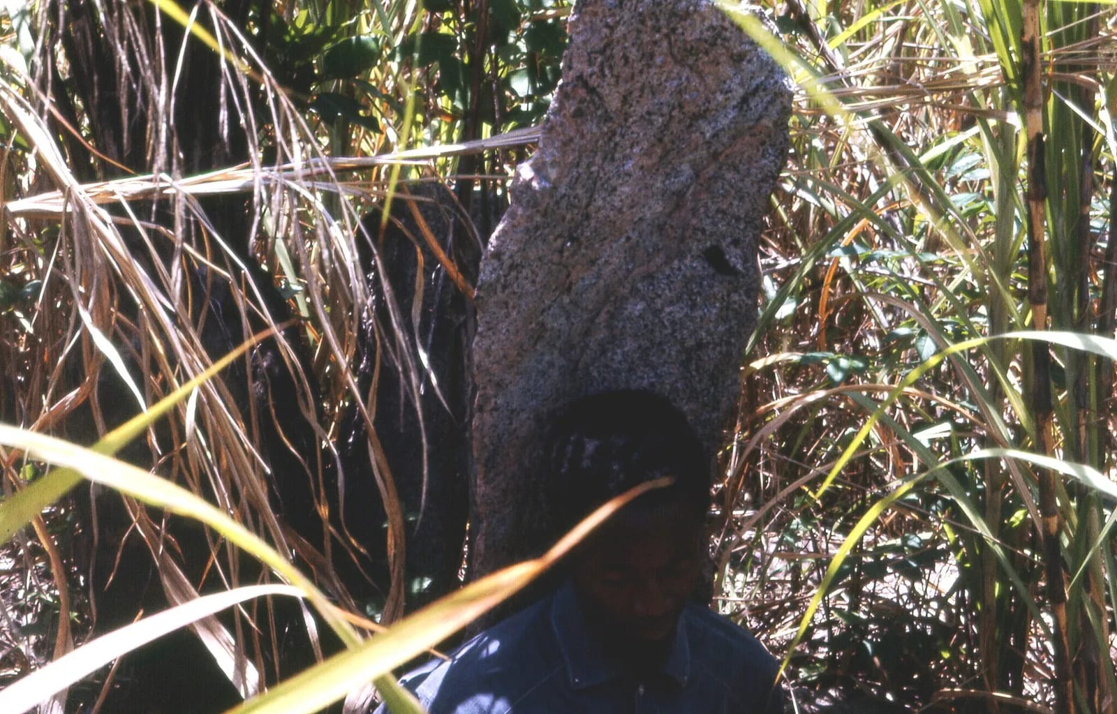 Dominic sitting on stone chiefs seat in overgrown area of Old Yagala, Sierra Leone (West Africa) (2046974061)