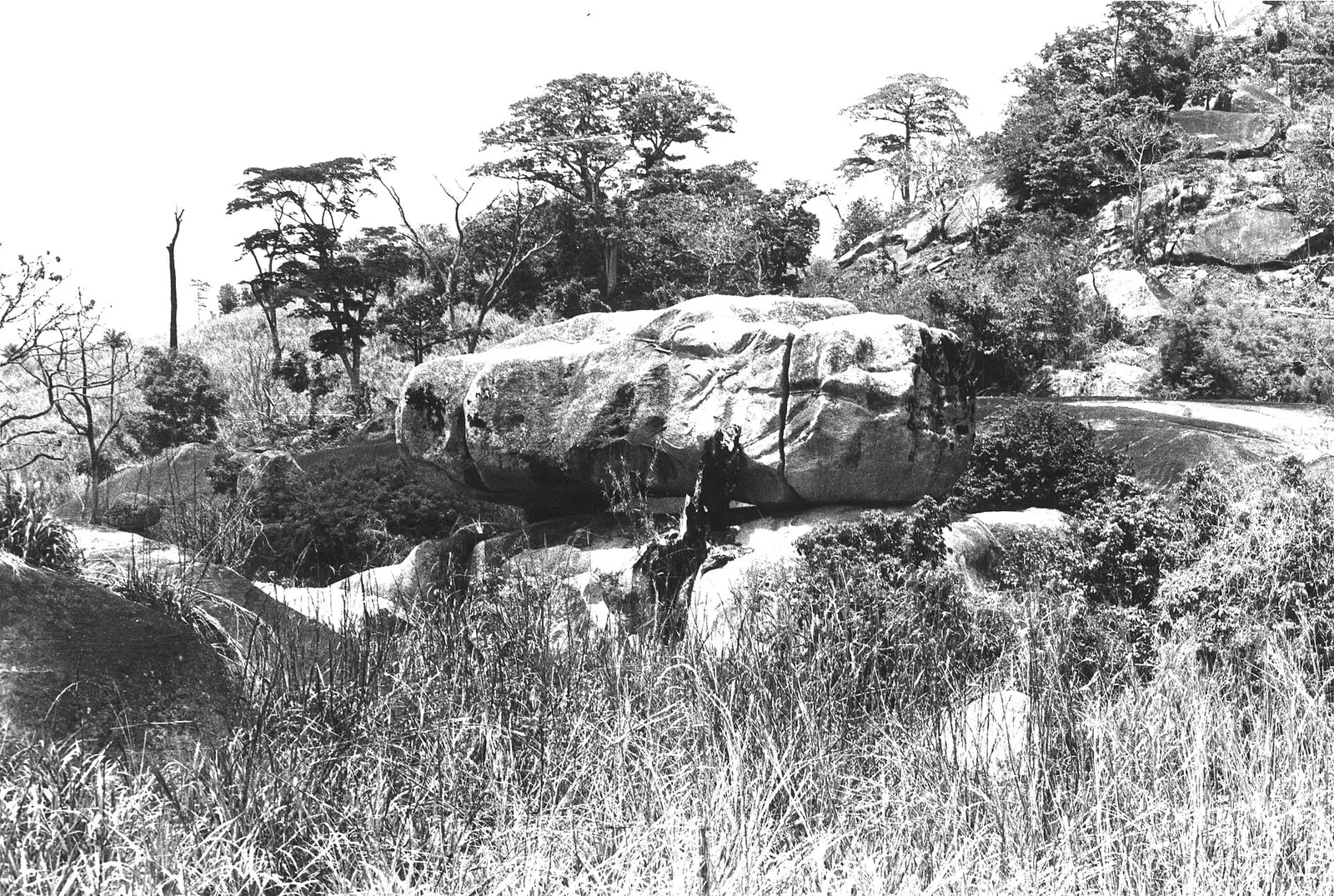 Rocks and Vegetation at the hilltop site of Old Yagala, Sierra Leone (West Africa) (1936858390)