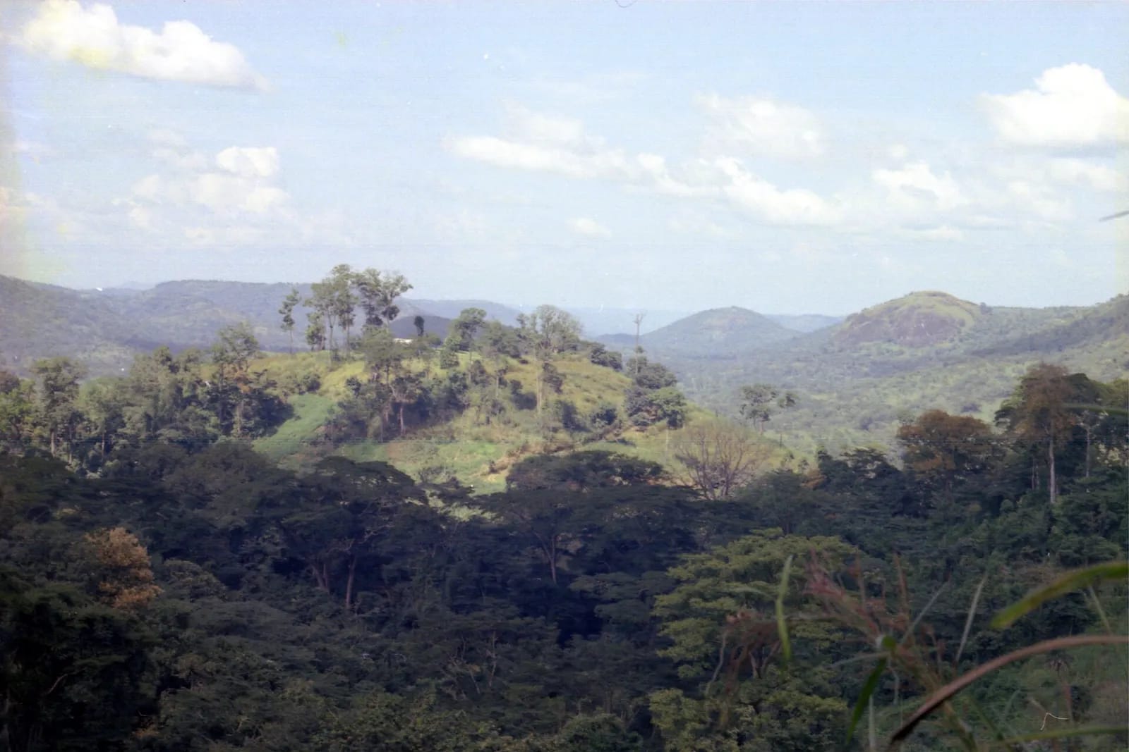Wara-Wara Mountains near Bafodia, Northern Sierra Leone (West Africa) 1967 (852679997)