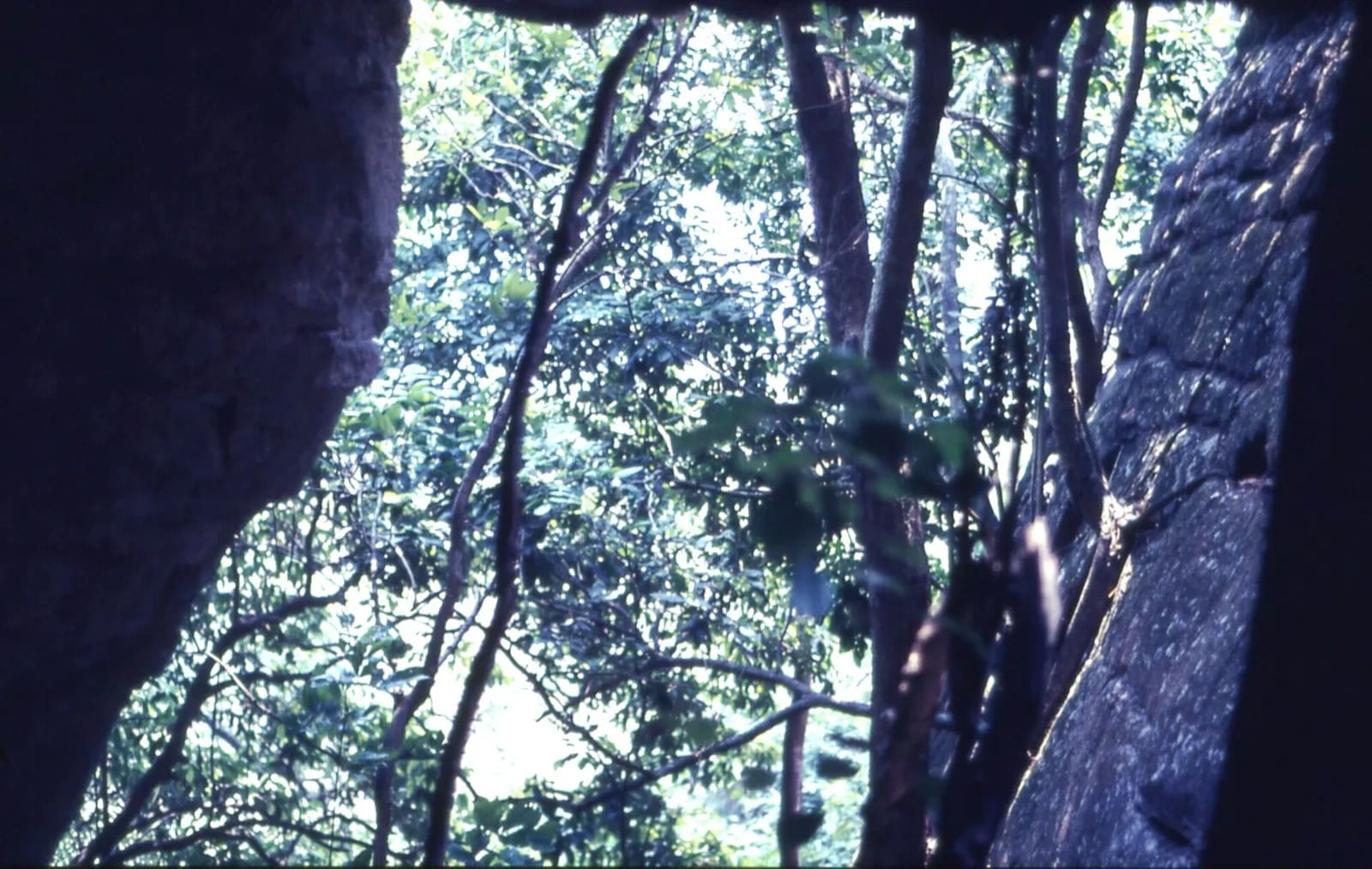 Looking out from inside a cave above Santia Rock Shelter on the road to Bafodia, Sierra Leone (West Africa) (1956133533)