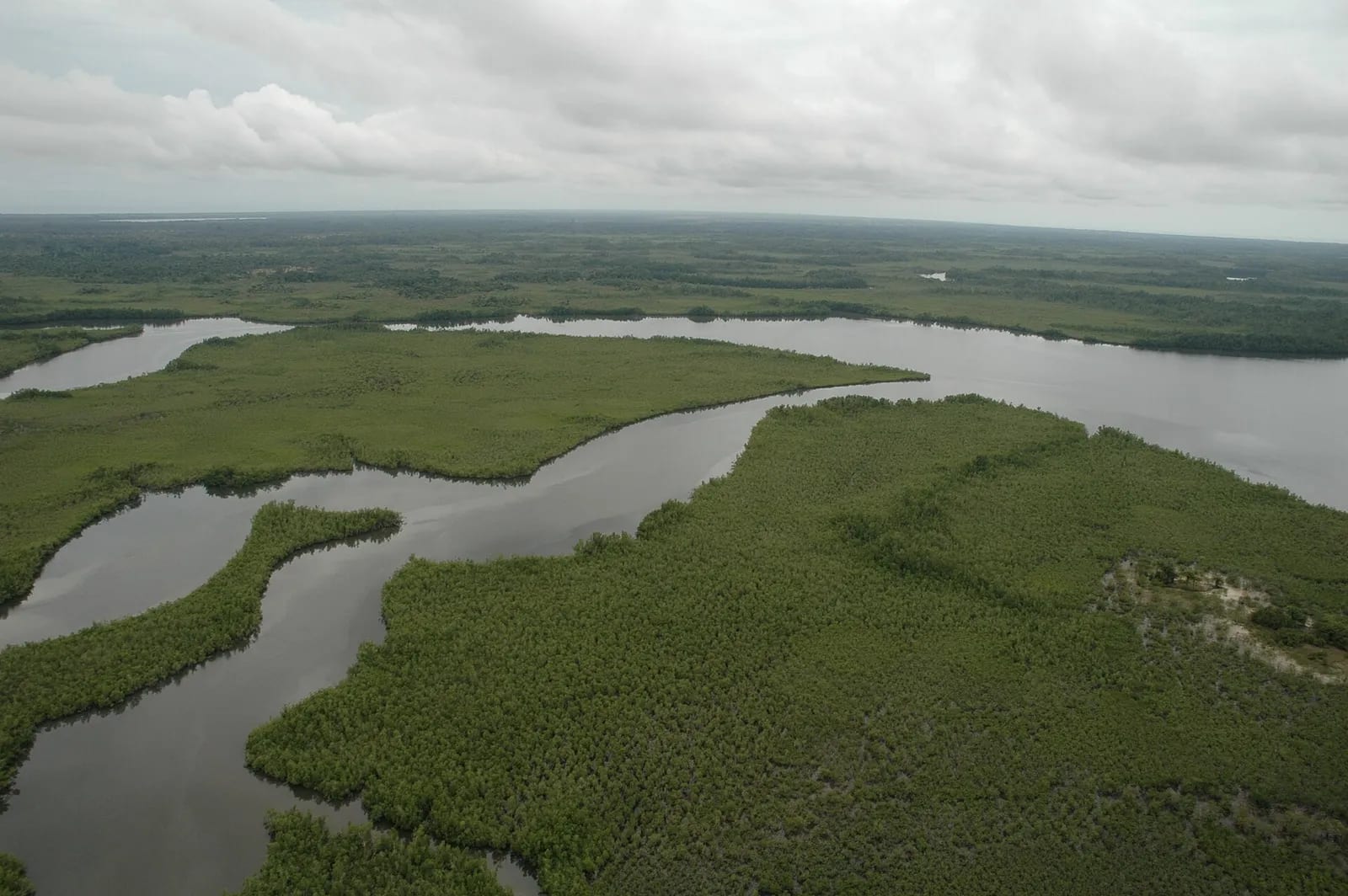 Sherbro Island - panoramio (1)