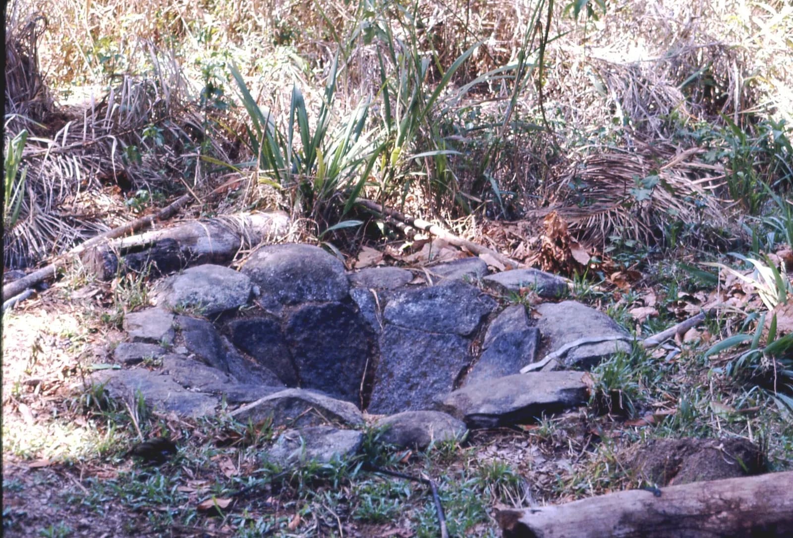 Stone-lined pit, probably for extracting palm oil, near Yagala, Sierra Leone (West Africa) (1679217561)