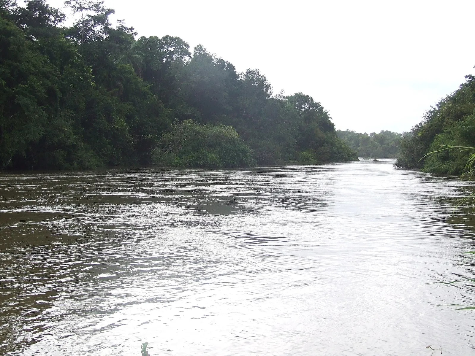 Rokel River (6773682040)