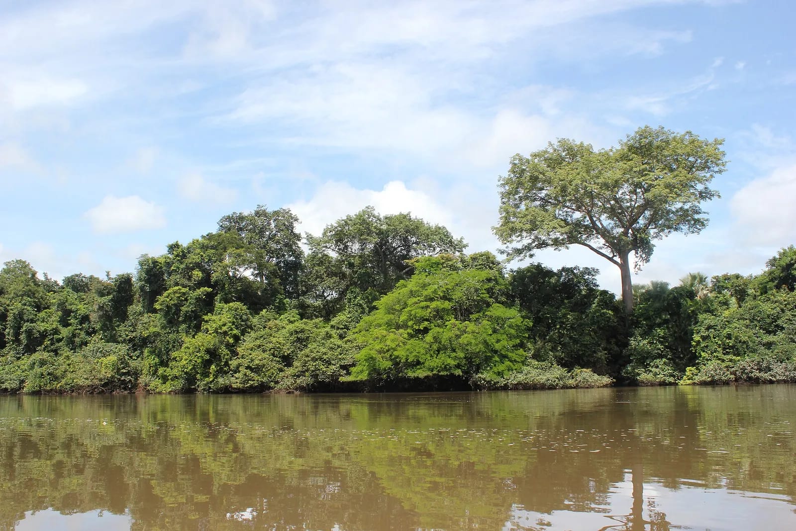 Outamba Kilimi Park Canoe Trip