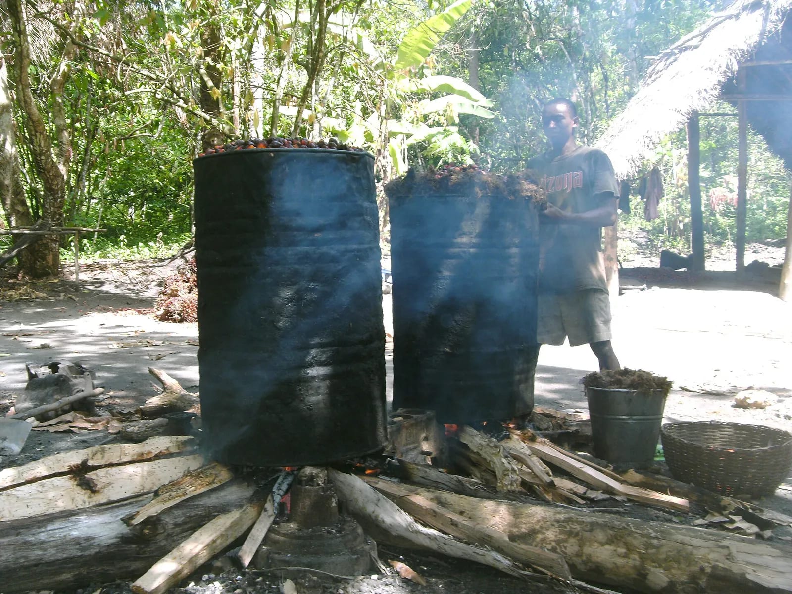 Boiling a palm fruit