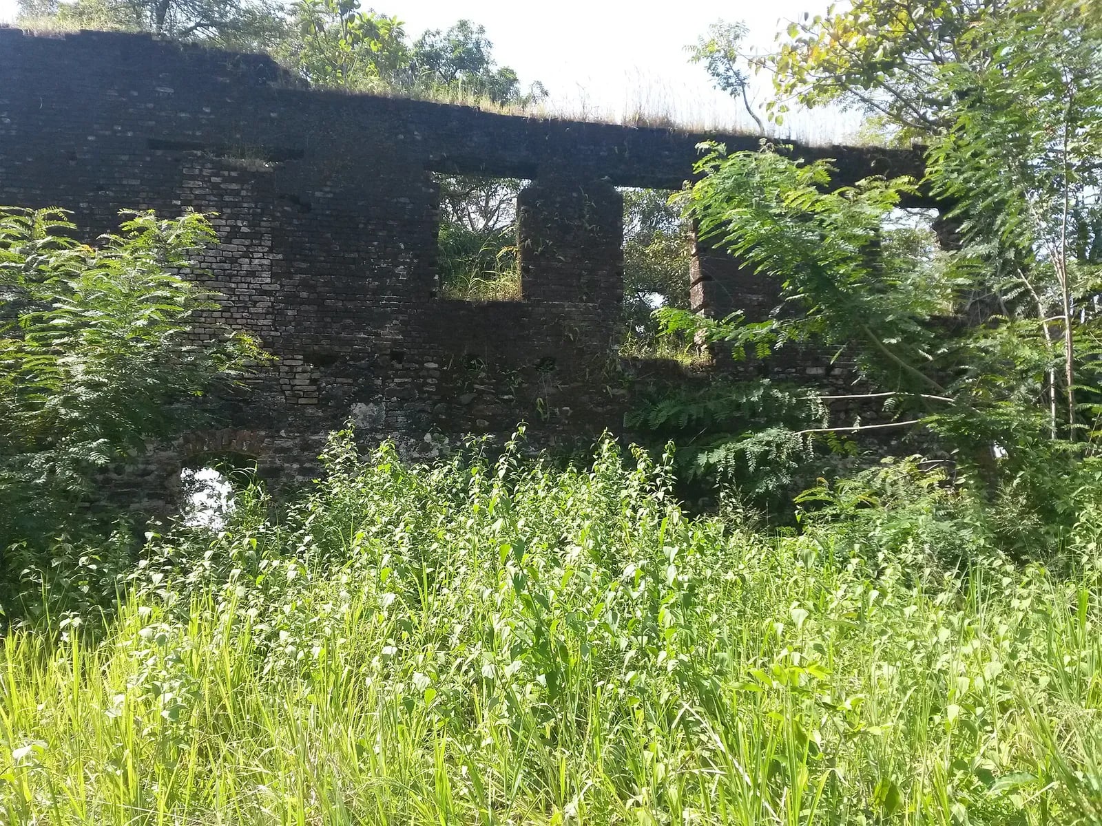Bunce Island Fortress Wall 01
