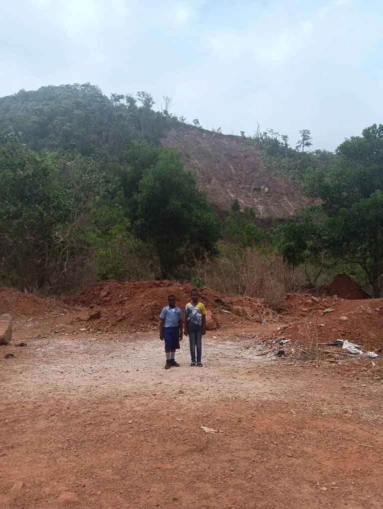 Image of the Mudslide caused by Climate change