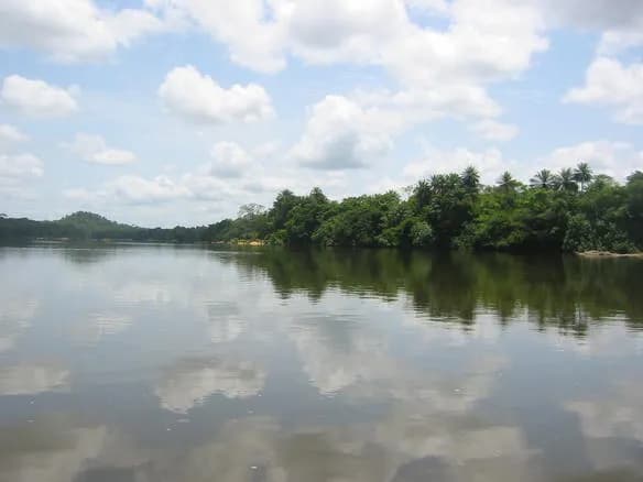 Tiwai Island River