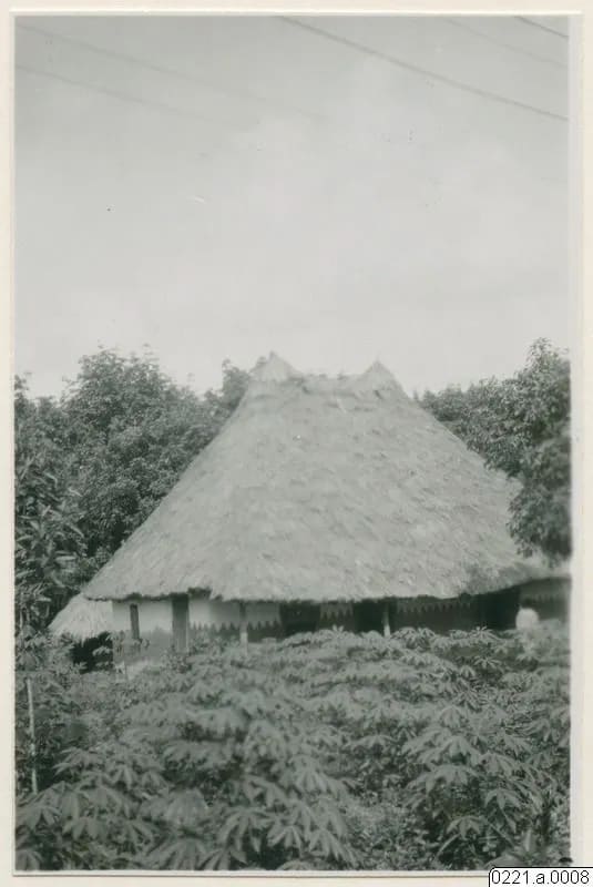 House type: thatched house, Mende country, 1930–31