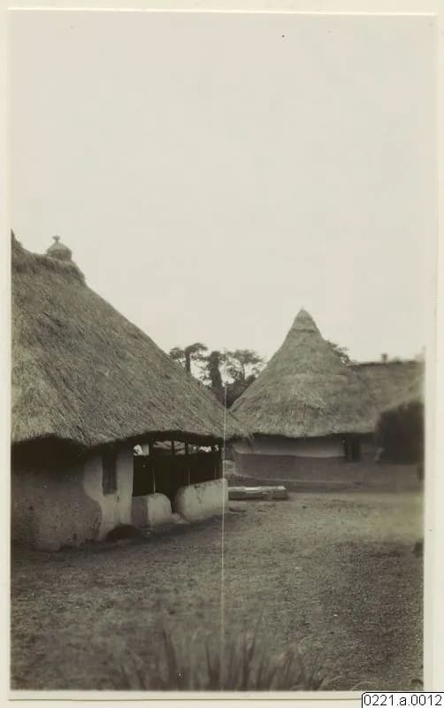House type: houses along a lane, Mende country, 1930–31
