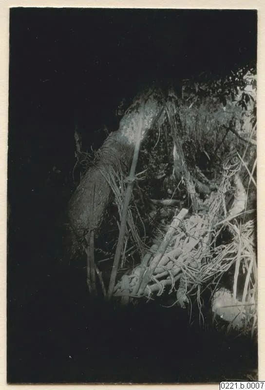 A bridge, Kissi country, 1930–31