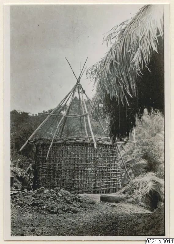 Building a house: the woven wall frame and roof poles, Kissi country, 1930–31