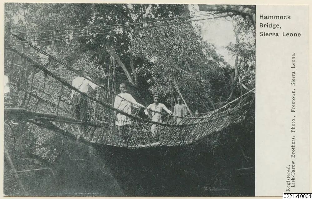 A hammock bridge of lianas (Lisk-Carew postcard)
