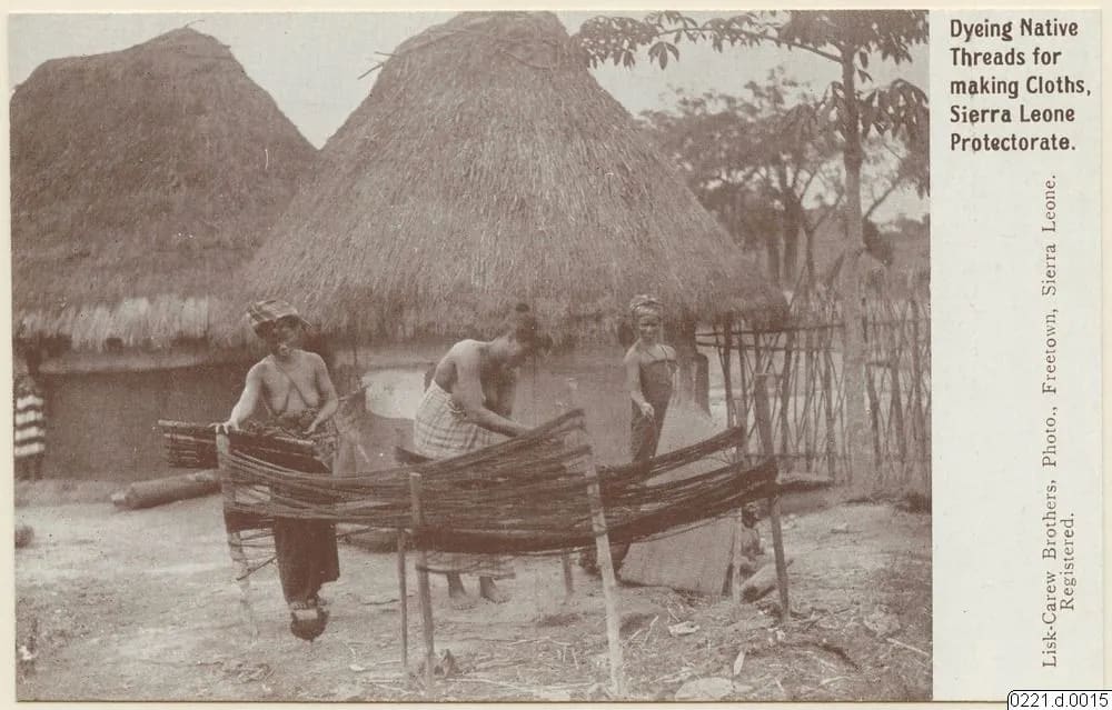 Dyeing native threads for making cloths, Sierra Leone Protectorate (Lisk-Carew postcard)