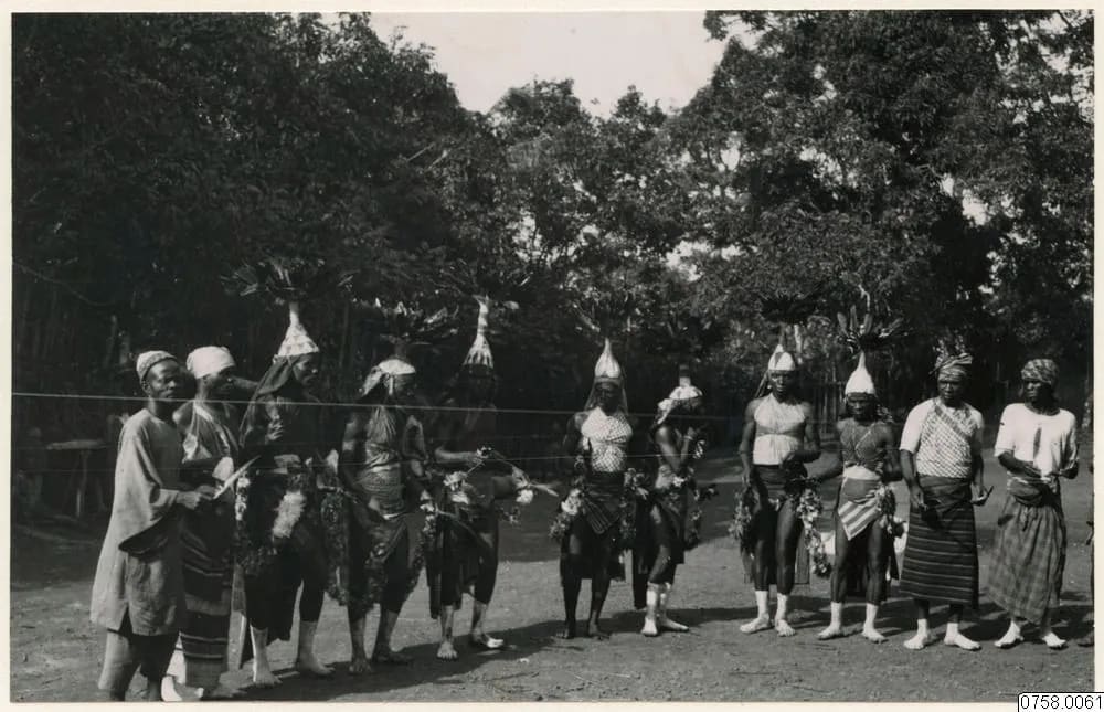 Wunde society masqueraders as bird spirits, Mende country, 1930–31